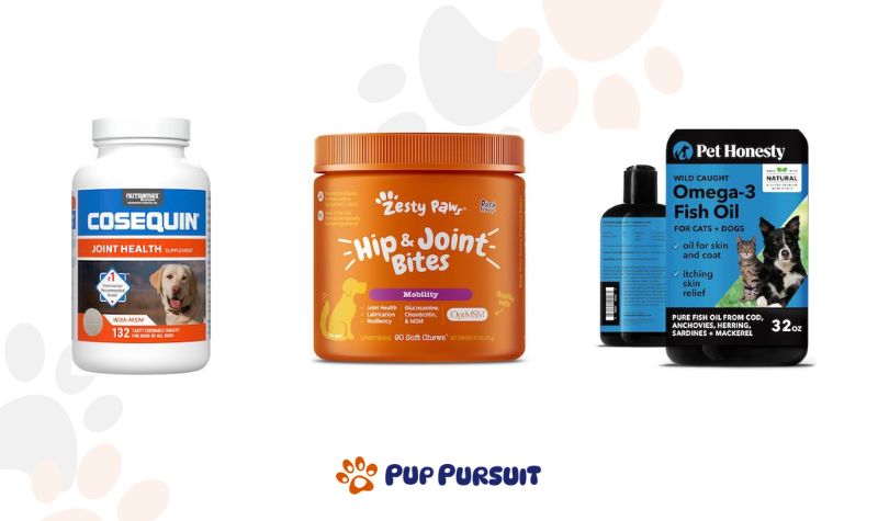 Best Joint Supplements for Dogs to Enhance Mobility and Comfort