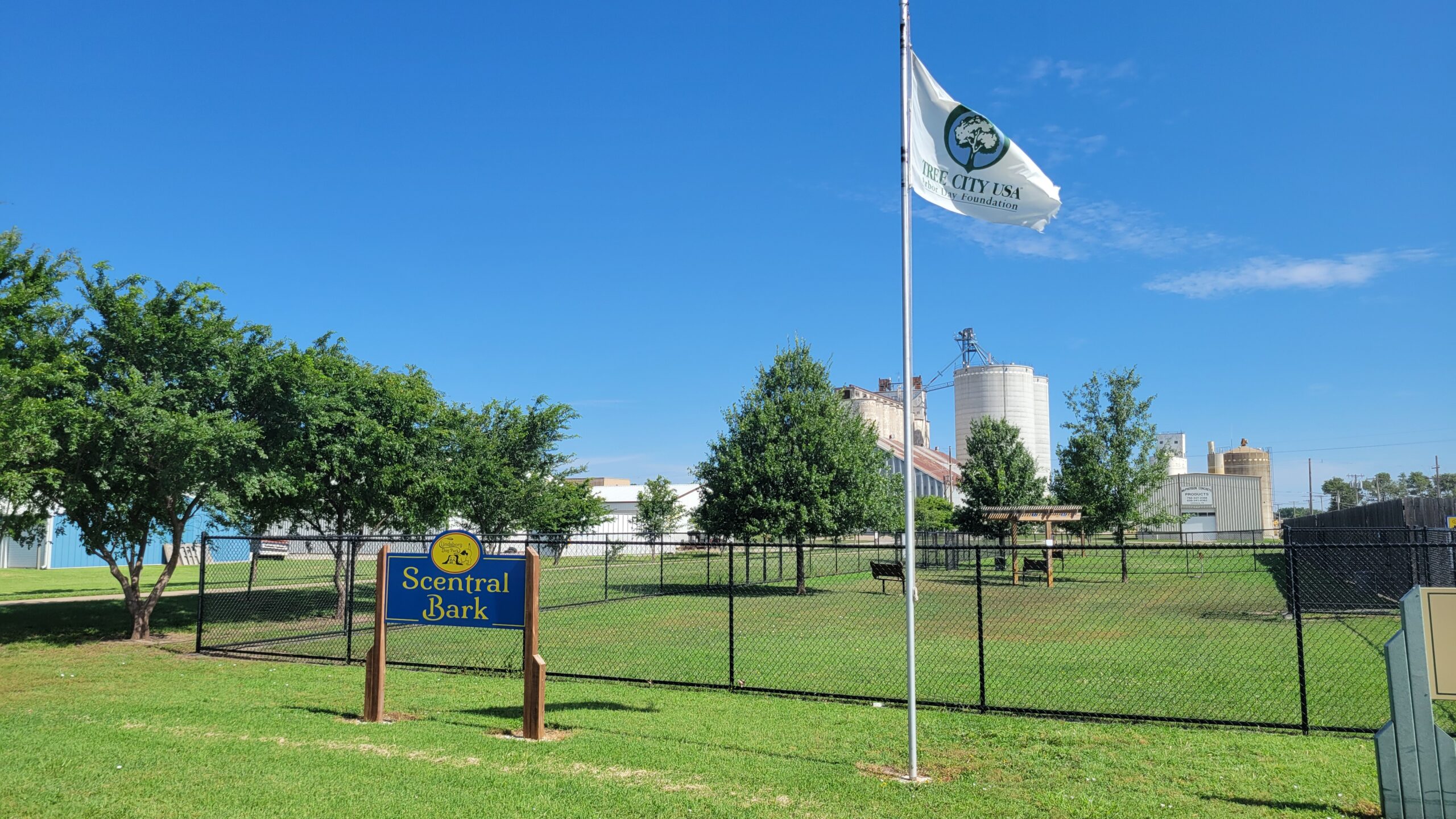 Apartment Dog-Proofing Checklist: 12 Safety Fixes You Can Do This Weekend