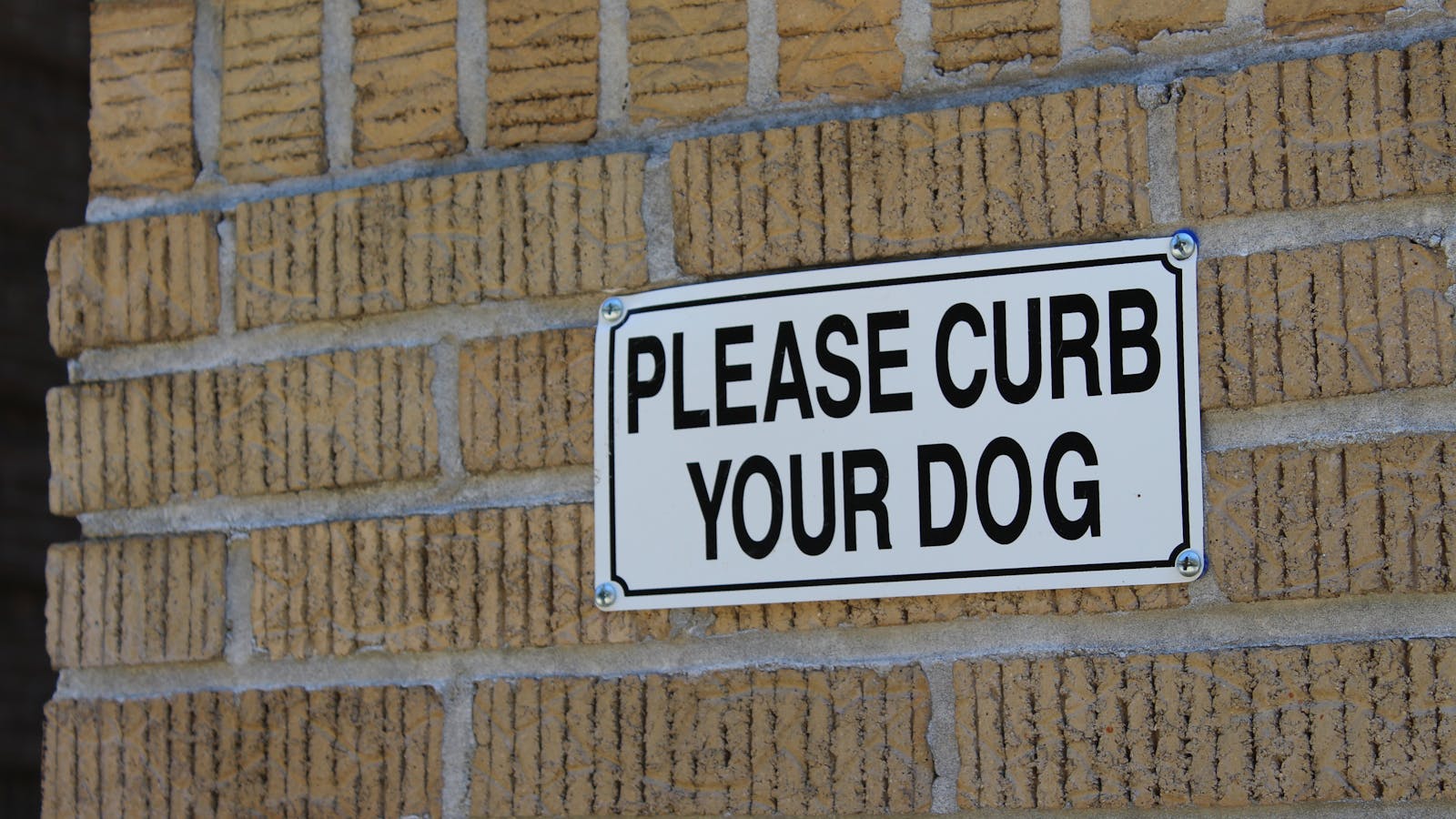 Dog Park Etiquette: When to Leave Early and Why It Matters