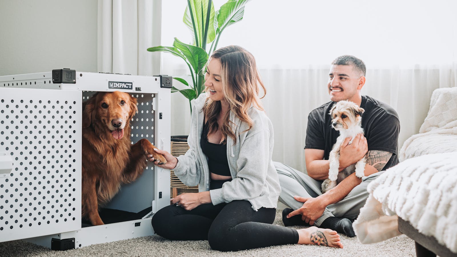 Crate Training Without Tears: A Gentle Progression