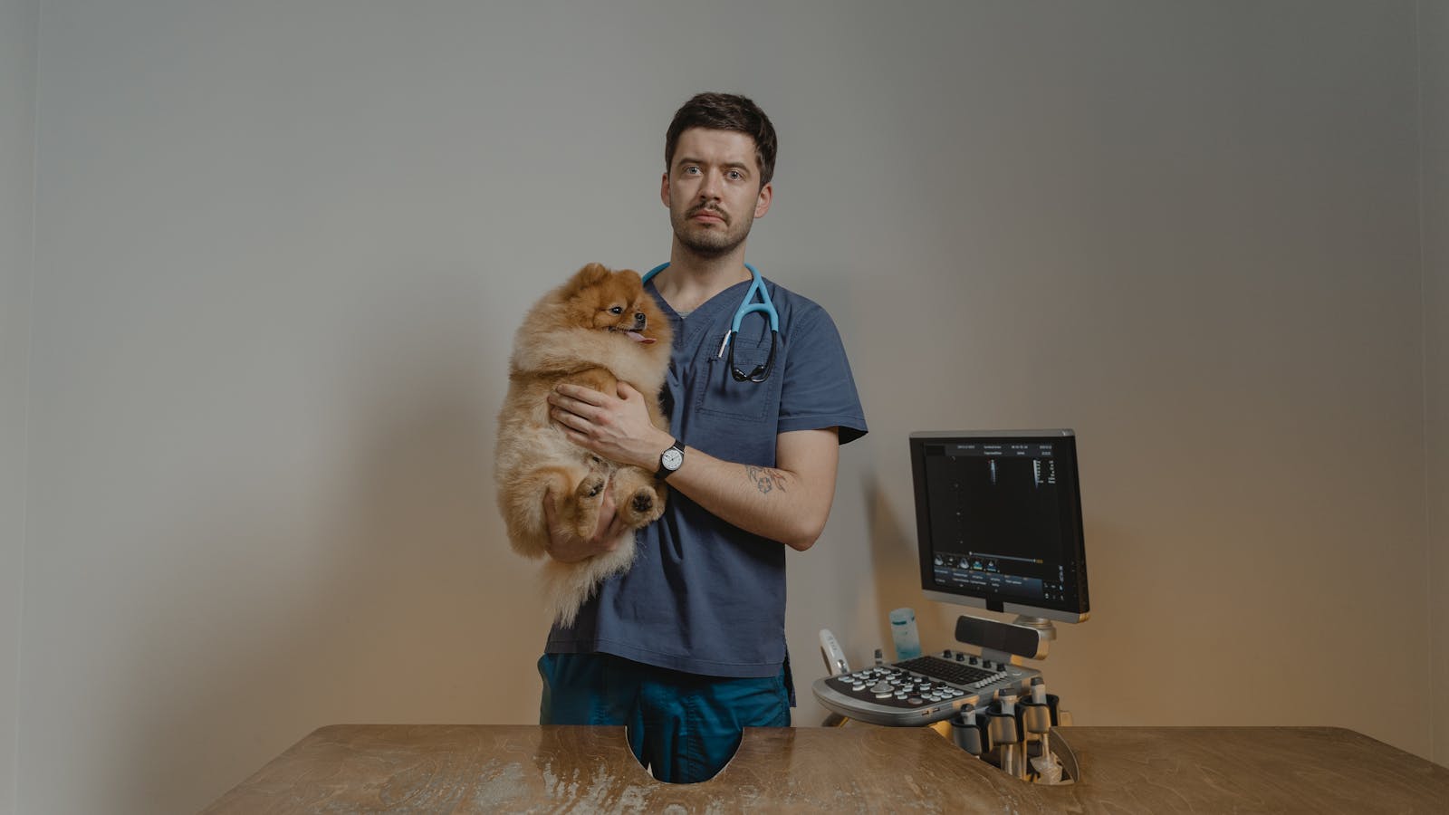 Recall Training That Holds Up Around Distractions