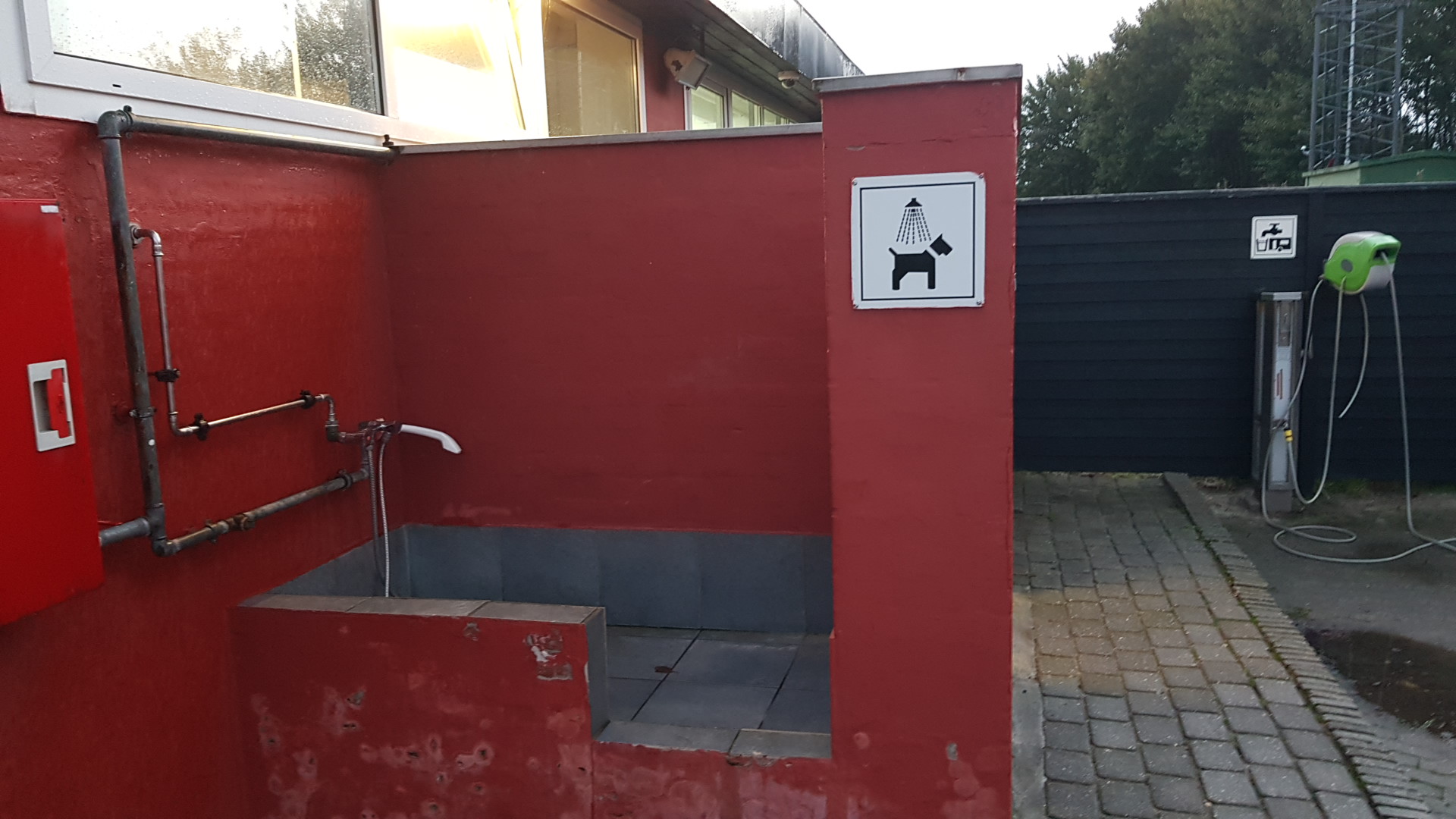 How to Dry Your Dog Safely After Rain or a Bath: A Step-by-Step Routine to Prevent Hot Spots, Matting, and the Wet-Dog Shake Everywhere